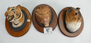 Beswick animal wall plaques: comprising Tiger, Lion and collie dog. (3)