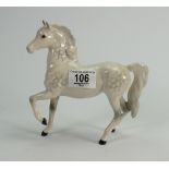 Beswick grey prancing Arab 1271: