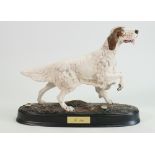 Beswick connoisseur model of The Setter on oval base: