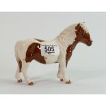 Beswick Hollywell Dixie shetland Pony: BCC piece 1995.