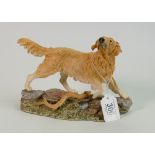 Beswick Studio Sculpture model of Golden Retriever: