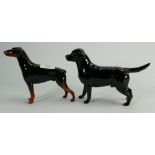 Beswick Black Labrador 1548 and Doberman 3121 (2):