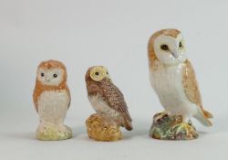 A collection of 3 Beswick Owls. Height of Tallest 12cm.
