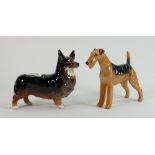 Beswick Corgi 1299 and Airedale Terrier 962 (2):