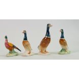 Beswick collection of small Mallard ducks and pheasant: (4)