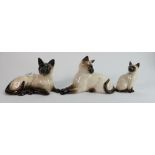 Beswick Siamese cats: comprising lying 1558, 1559 and seated kitten. (3)