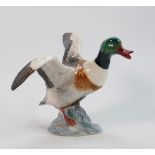 Beswick Sheldrake Duck Settling, beak open 995: