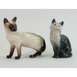 Beswick seated cats: persian cat 1030 and siamese cat. (2)