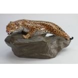 Royal Doulton large prestige model: of a Leopard on rock HN2638, h22 x L42cm.