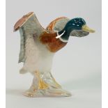 Beswick Mallard Duck settling 750: