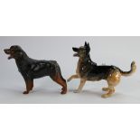 Beswick Alsatian 3073 and Rottweiler 3056 matte (2):