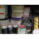 DIY items: paint rollers/trays, paint, spray paint, hardener etc.