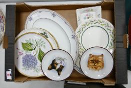 A mixed collection of Decorative wall plates including: Spode, Wedgwood, Coalport etc