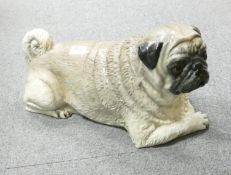 Large Life Size Pottery Pug figure: length 47cm