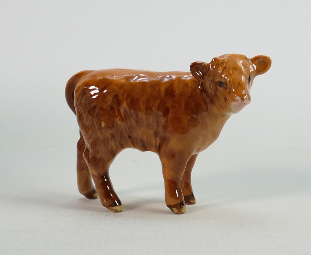 Beswick highland calf 1827D.