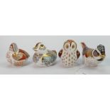 Four x Royal Crown Derby bird Paperweights: Crested tit, Duckling, owlet & Teal duckling, all with