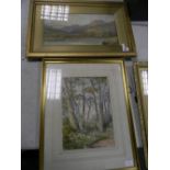 Early 20th Century Watercolour : signed V Allan: together with later image of Silver Birches,