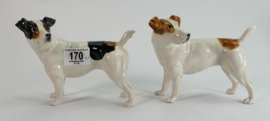 Elite pottery good quality trial Jack Russell hand painted porcelain dog figures: Both marked trial,