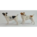 Elite pottery good quality trial Jack Russell hand painted porcelain dog figures: Both marked trial,