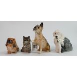 Three x Royal Doulton dogs and grey cat: Old English heepdog & puppy, HN1040 Pekingese, Sitting