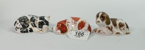 Three x Royal Crown Derby dog and cat Paperweights: Misty, Puppy & Scruff (3)