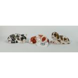 Three x Royal Crown Derby dog and cat Paperweights: Misty, Puppy & Scruff (3)