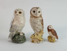 Three Owls Royal Doulton & Beswick: Large Barn owl & Snowy owl (2nd) made for Whyte & Mackay as