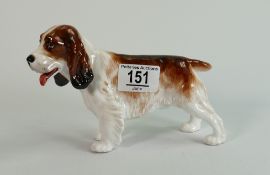 Reg Johnson for Royal Doulton trial Springer Spaniel: Marked to base - studio potter R Johnson