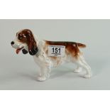 Reg Johnson for Royal Doulton trial Springer Spaniel: Marked to base - studio potter R Johnson