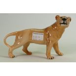 Beswick Lioness 2097: