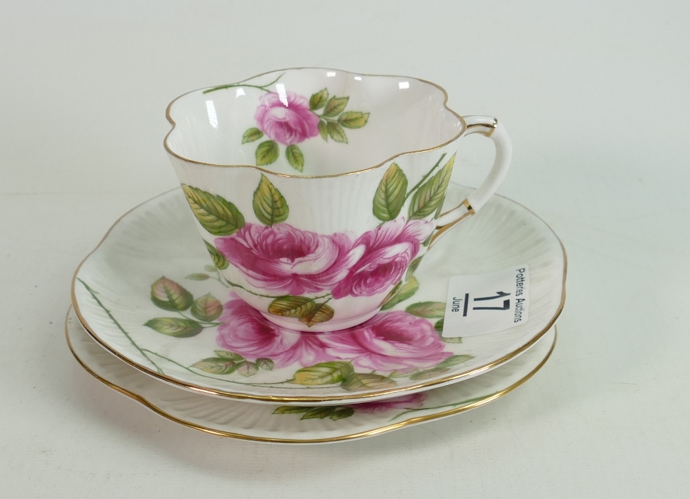 Shelley Rambler Rose 13671 Patterned Trio: