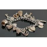Charm bracelet with silver & other charms: The bracelet does not test as silver, though the clasp is