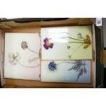 Three Floral Decorated Glass hanging Panels: