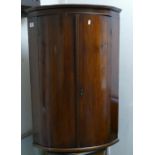 Bow Fronted Mahogany Corner Cupboard: height 94cm