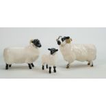 Beswick Black Faced Ram 301, Sheep 165 Lamb 1828(3)