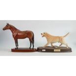 Beswick The Labrador: on ceramic plinth together with similar damaged Thoroughbred Horse(2)