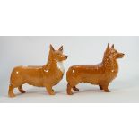 Beswick Large Corgi 1299B: togther with similar damaged item(2)