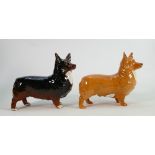 Beswick Large Corgi Black Prince 1299A: togther with similar 1299B item(2)