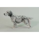 Royal Doulton grey setter dog HN1050: 21 cm long.