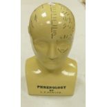 Large L N Fowler phrenology head: height 30cm