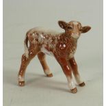 Beswick Shorthorn calf 1406C: Lighter colour noted.