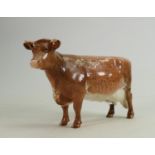 Beswick Shorthorn cow 1510: Lighter colour noted.