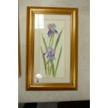 Modern Framed Water colour of Orchids: 50 x 31cm