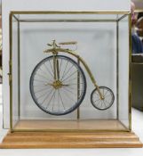 Glass Cased Brass Model of 1884 Velocipedo Penny Farthing Cycle: height of case 24cm