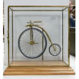 Glass Cased Brass Model of 1884 Velocipedo Penny Farthing Cycle: height of case 24cm