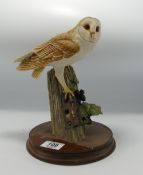 Border Fine Arts Barn Owl RB15: height 26cm