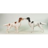 Two Goebel figures of English Setters: numbered 3062821, in liver and black colour ways(2)