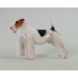 Royal Doulton Rough Haired Terrier HN1014: Good overall condition.