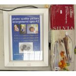Boxed Stainless Steel 18" Fish Poacher: together with modern illuminated photo frame(2)