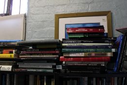A large collection of books with an Art theme: 2 shelves.